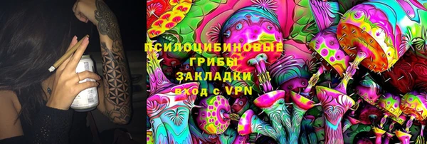 гашик Шадринск