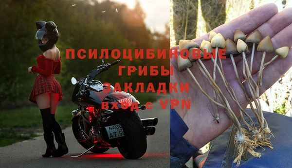 apvp Липки