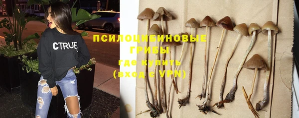 apvp Липки