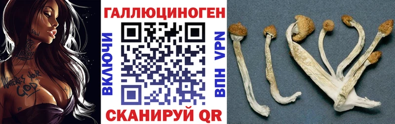 хочу   Владикавказ  Псилоцибиновые грибы прущие грибы 