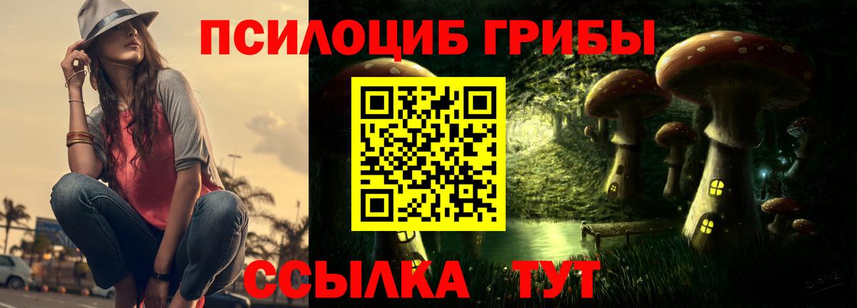 Галлюциногенные грибы прущие грибы  Псилоцибиновые грибы MAGIC MUSHROOMS  Вход с VPN  как найти закладки  Владикавказ 